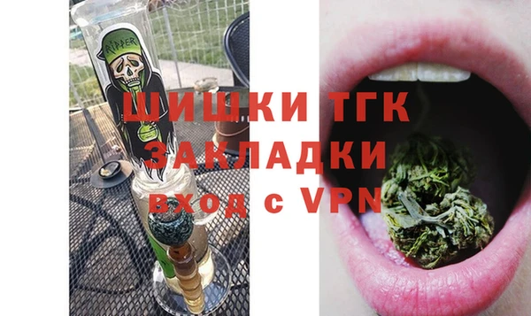 сатива Кукмор