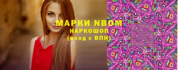 сатива Кукмор