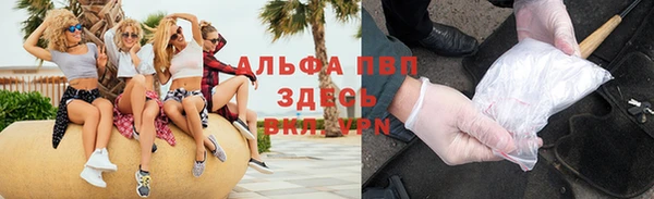 сатива Кукмор