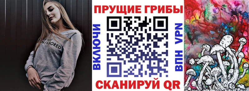 Галлюциногенные грибы прущие грибы  Малгобек 